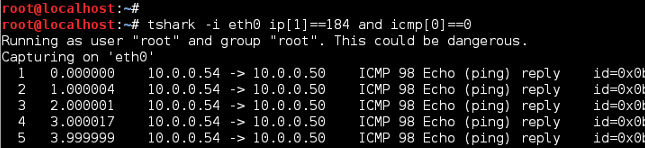 tcpdump icmp echo