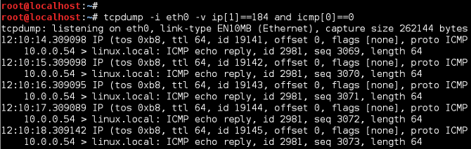 TCPDump Echo Reply