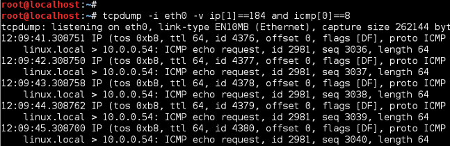 TCPDump Echo Reply