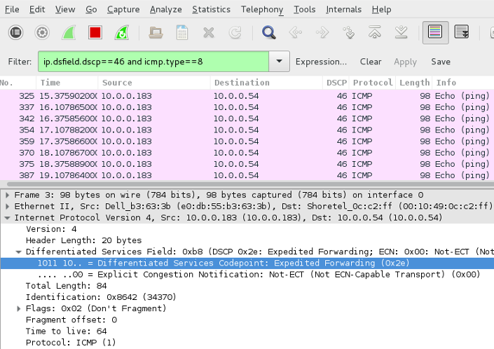 Linux WireShark Echo Request